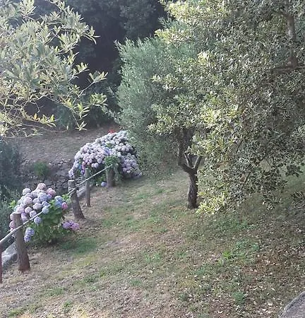Arvasia Hébergement de vacances *