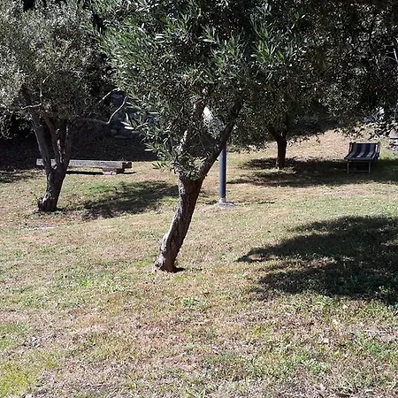 Arvasia 度假居 韦尔纳扎